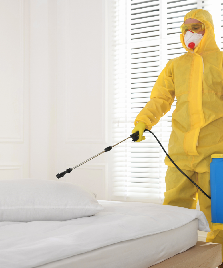 Professional Pest Control Team in Echunga